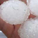 난데없이 야구공 크기 우박 쏟아져…152명 병원행에 학교 휴교령까지﻿ 이미지