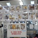 묘냥묘냥 | [동해]데이트 코스로 딱인 고양이 카페 묘냥묘냥 내돈내산 방문후기