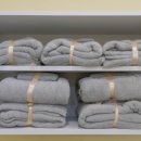 다둥 반려견 호텔 유치원 이미지