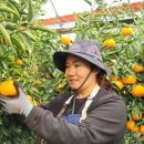 김복희농장 이미지