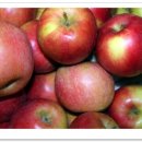 청하면 해아 이미지