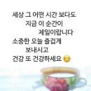 올리 이미지