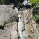 캠프 인더숲 이미지