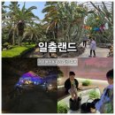에코힐링 | 일출랜드 성산일출봉 인근 가볼만한 곳 추천! 미천굴과 동백족욕 후기