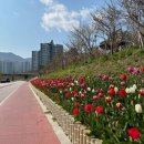 변* 이미지