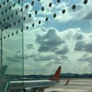 (주)진해군항렌트카 | 제주부케 가성비 좋은 전지현플라워 추천하는 이유