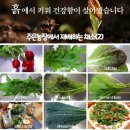 주은농장 이미지