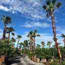 제주도 게스트하우스 스테이블 빌리지 이미지