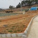 자명농장 이미지