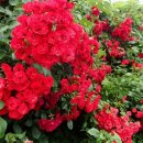 북촌 해동 이미지