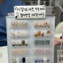 네일러그 이미지