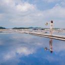 태평여자 이미지