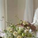 바즈플라워 이미지