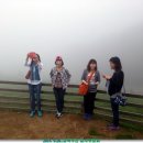 진흥목장 이미지