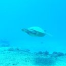 해결자원건설 이미지