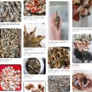 김가네 거제아주점 | 김가네 여름휴가(거제) DAY 2