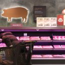 피드앤푸드 이미지