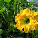 조계환농장 이미지