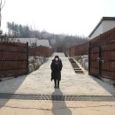 바우하우스 105 이미지