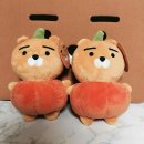 라이언리미티드 이미지