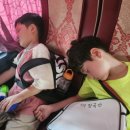경희대새한태권도장 이미지
