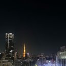 오덕프라자 방향 횡단보도 | 롯폰기 2025 일루미네이션 날짜 시간 포토스팟, 롯폰기힐즈 크리스마스 마켓 다녀온 후기