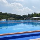 도그베이 이미지