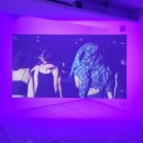 아라리오갤러리 서울 : 요한한 개인전 &lt;Métissage 엮는 자&gt;