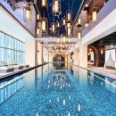 더링크호텔6M | 조선 팰리스 서울 강남 럭셔리 컬렉션 호텔 실내 수영장 및 피트니스 시간, 가격, 수영모 착용 여부...