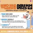 유마비엔디의원 | [임신정보] 부산 수영구 임산부 백일해 예방접종 무료 / 남편 백일해 예방접종 비용