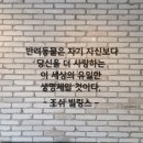 조원 동물병원 이미지