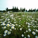 경주산림환경연구원 이미지