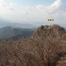 남파랑길69코스도화버스정류장에서 백석마을까지 이미지