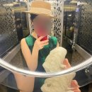 호텔M타워 | 아부다비 호텔 추천 로얄 M 호텔 앤 리조트 위치·수영장·조식 이용 후기