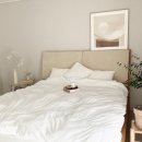 에스알 세탁 이미지