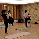행신요가 몸과 마음을 단련시켜주는 테라피요가 봄요가 후기 :)