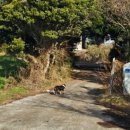 경식목장 이미지