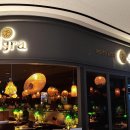 센텀남대로 이미지