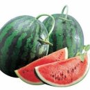 스킨모아 이미지