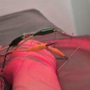 용현제일의원 이미지