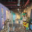 코인조이노래연습장 이미지