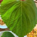 집앞 | [인천 영종도 꼬막집]바다뷰 바라보면서 먹는 : 바다앞꼬막집 후기