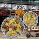 안정쇼핑로 | 평택 팽성 맛집 미군부대 도리이키친 내돈내산 규동 솔직후기