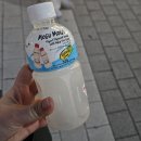 [내아이돌] 241015 파주 엠카 사녹(2)