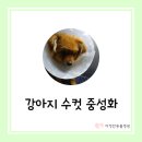 다정한 동물병원 이미지