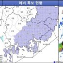 부산에 내일 새벽 호우예비특보 발효…최대 150㎜ 비 이미지