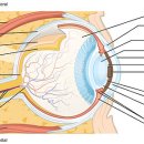 이민준한의원 이미지