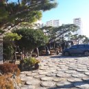 아지매제첩국 이미지