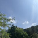 옛날왕솥뚜껑삼겹살 이미지