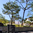 어진동_호수공원수변공원 이미지